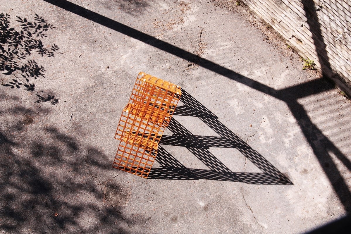 Paulina Herrera Letelier - Into the Gestalt